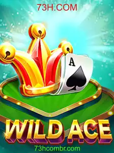 Descubra WildAce: As Regras e Características do Jogo do Momento